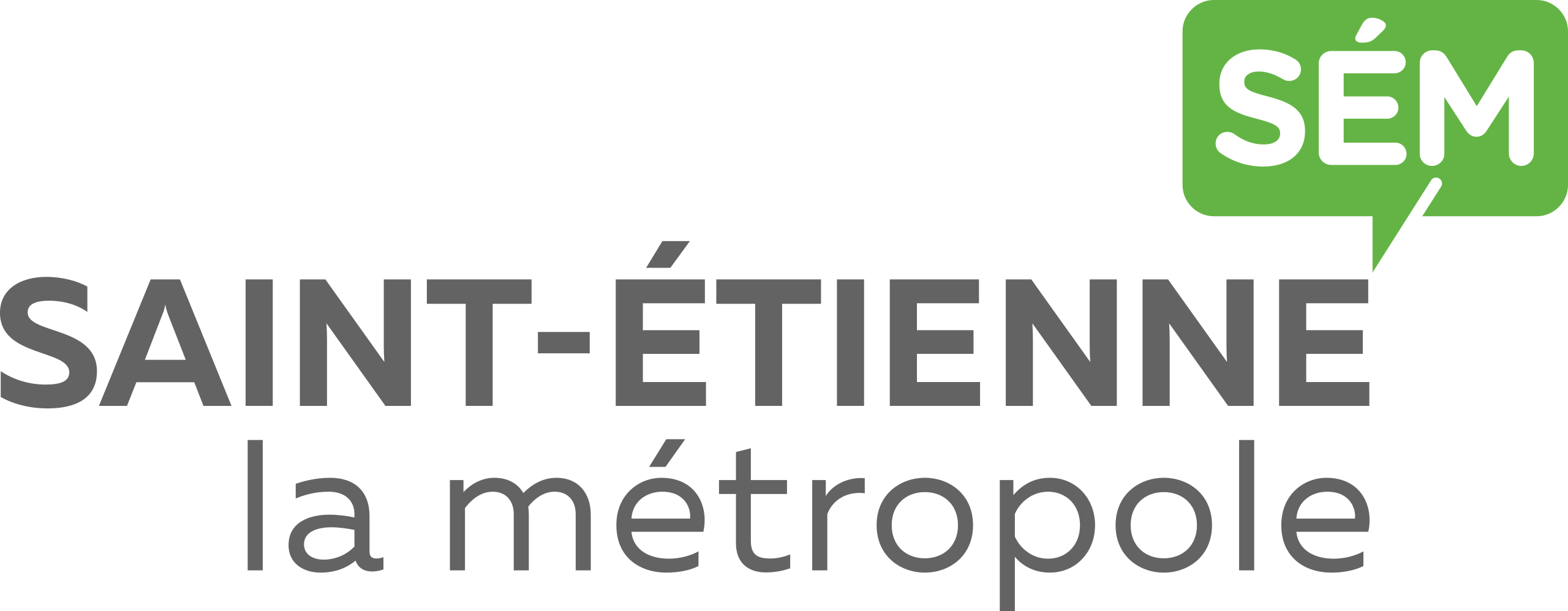 Logo Saint-Etienne_Metropole