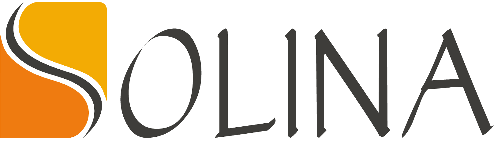Logo Solina