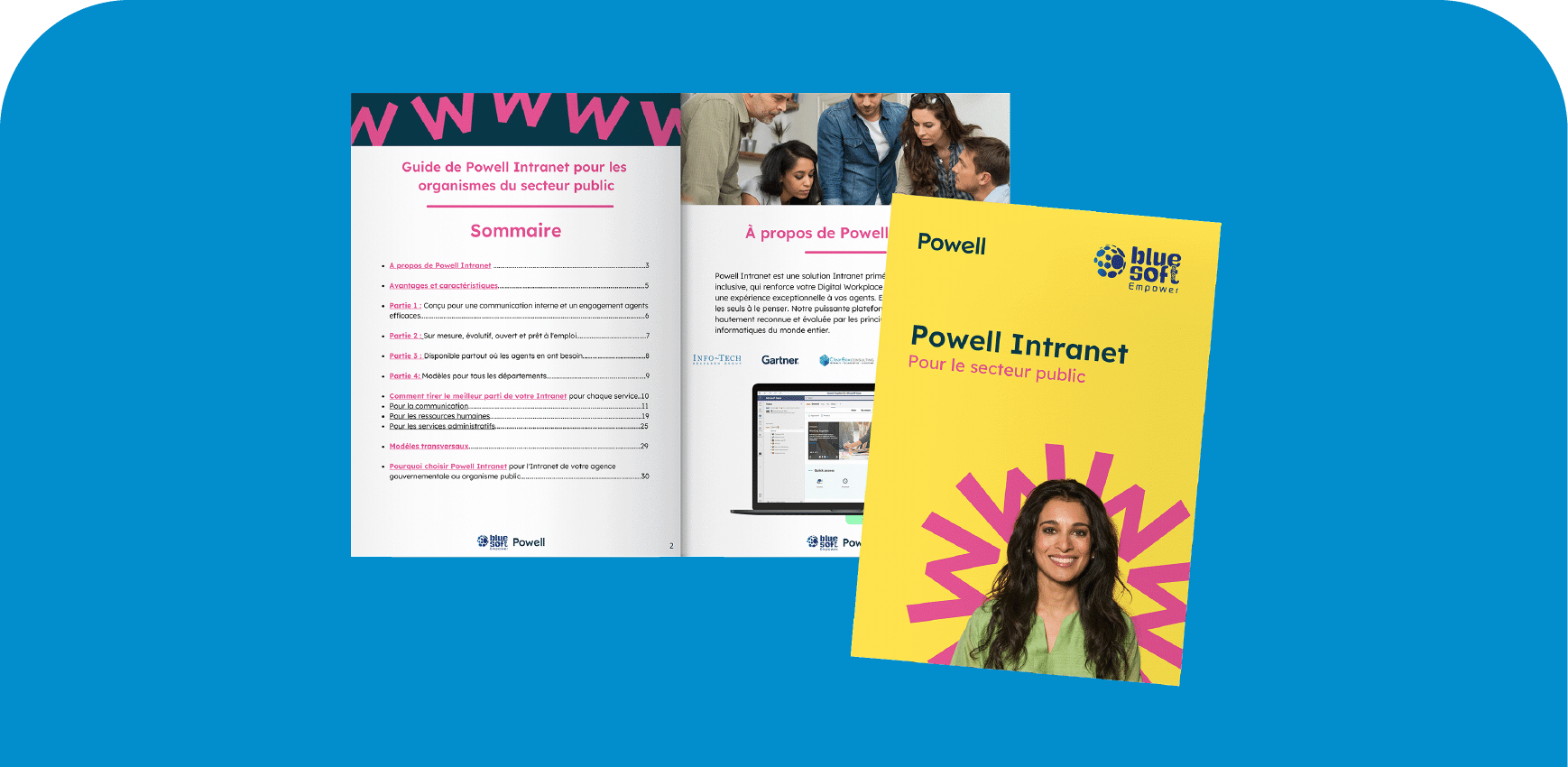 Powell Intranet pour le secteur public